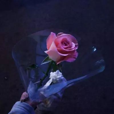 特朗普称伊朗已“完全被打败”